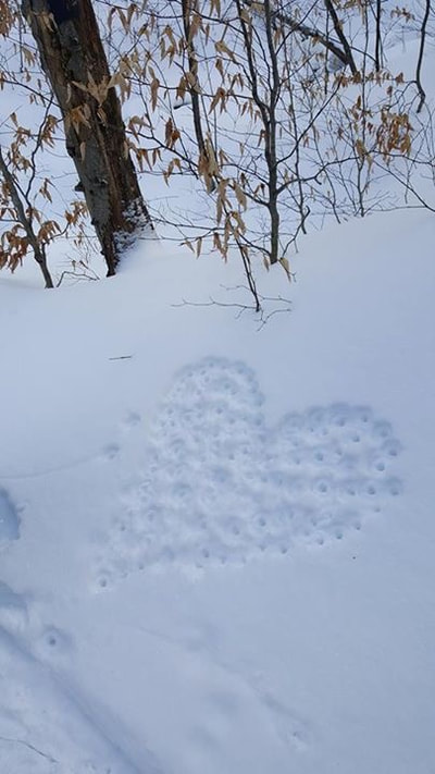 Heart in the snow in Vermont. 